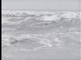 Van Zuiderzee tot IJsselmeer en Waddenzee