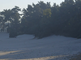 Zandverstuiving de Korte Duinen bij Soest, in vroeg ochtend licht